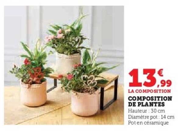 COMPOSITION DE PLANTES