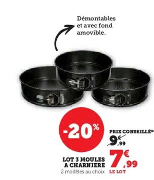 LOT 3 MOULES A CHARNIERE