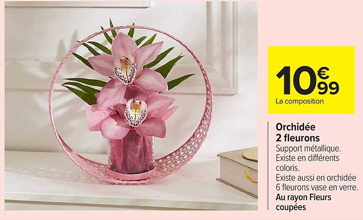 Orchidée 2 fleurons