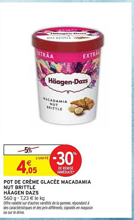 POT DE CRÈME GLACÉE MACADAMIA NUT BRITTLE HÄAGEN DAZS