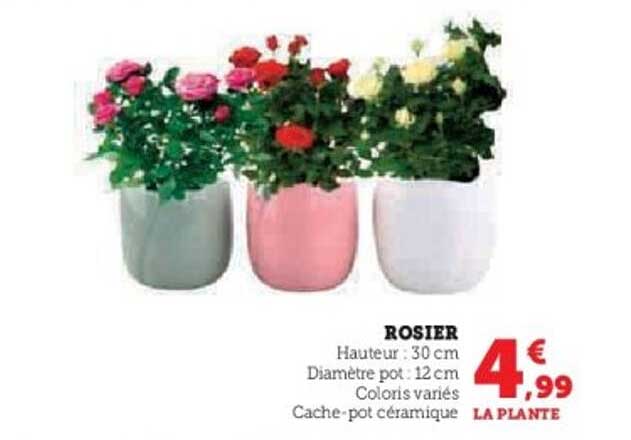 ROSIER