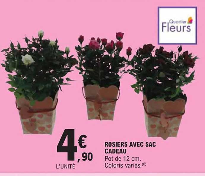 ROSIERS AVEC SAC CADEAU
