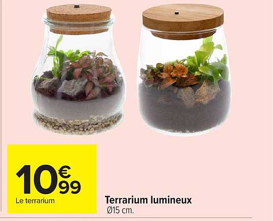 Terrarium lumineux Ø15 cm