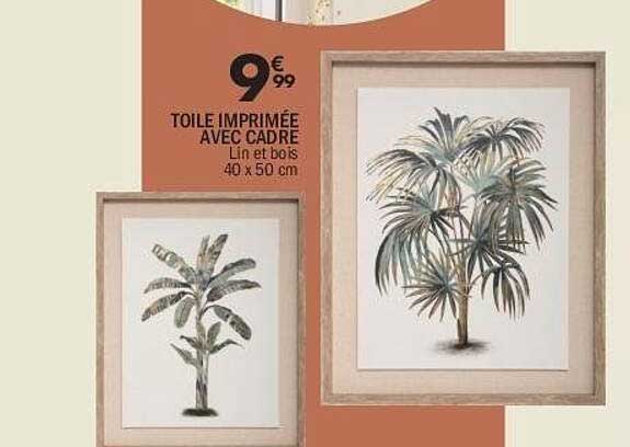 TOILE IMPRIMÉE AVEC CADRE