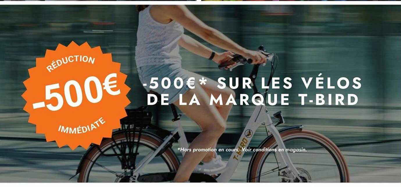-500€* SUR LES VÉLOS DE LA MARQUE T-BIRD