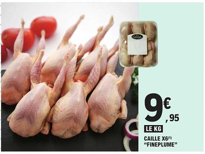 CAILLE X6 "FINEPLUME"