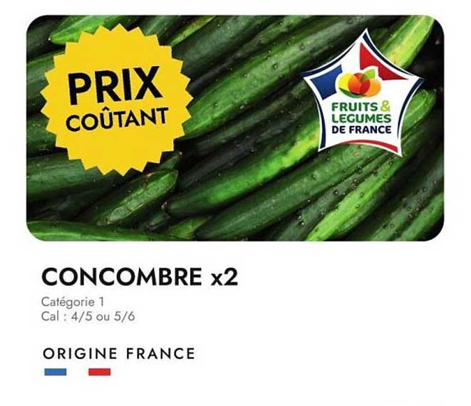 CONCOMBRE x2
