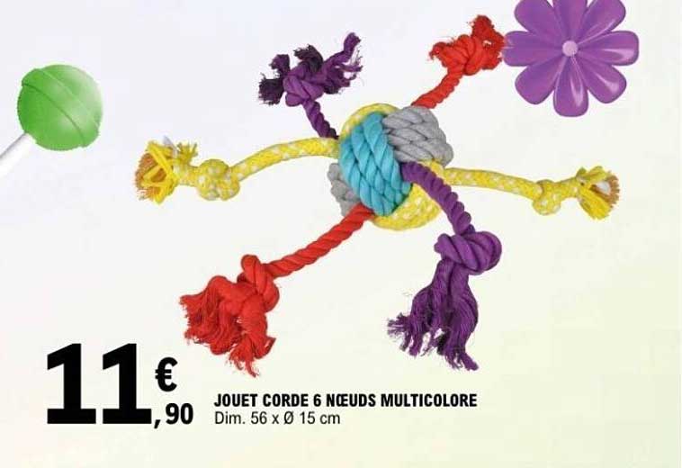 JEU CORDE 6 NOEUDS MULTICOLORE