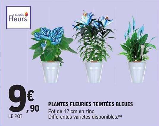 PLANTES FLEURIES TEINTÉES BLEUES