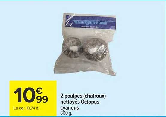2 poulpes (chatroux) nettoyés Octopus cyaneus