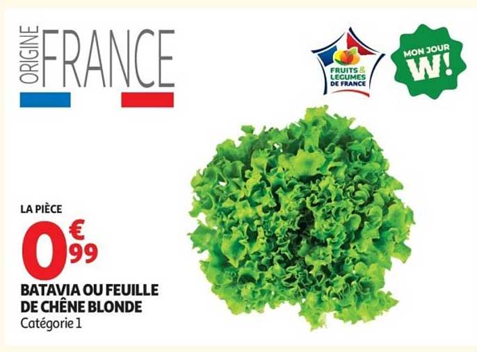 BATAVIA OU FEUILLE DE CHÊNE BLONDE Catégorie 1