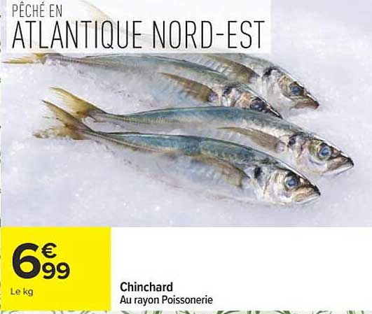 Chinchard
