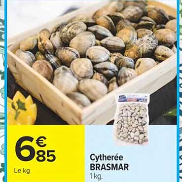 Cytherée BRASMAR 1 kg.