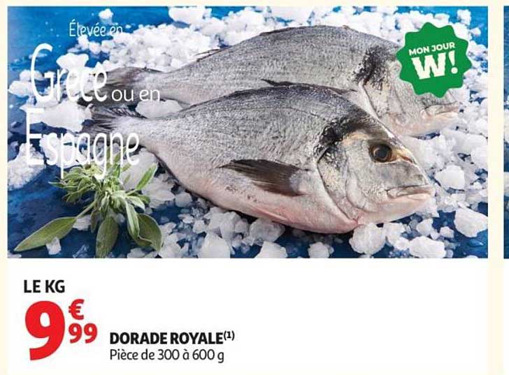 DORADE ROYALE(1)
