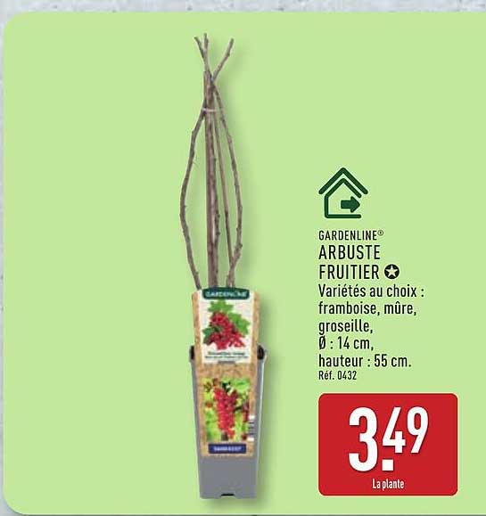 GARDENLINE® ARBUSTE FRUITIER Variétés au choix : framboise, mûre, groseille, Ø : 14 cm, hauteur : 55 cm. Réf. 0432