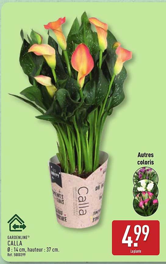 GARDENLINE® CALLA