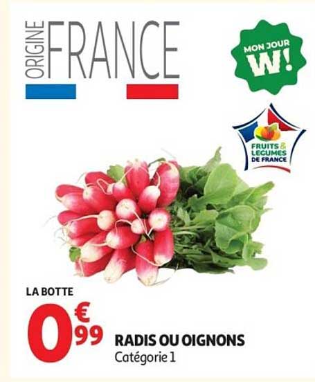 LA BOTTE RADIS OU OIGNONS Catégorie 1