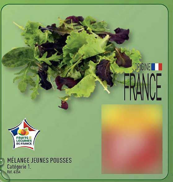 MÉLANGE JEUNES POUSSES
