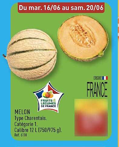 MELON Type Charentais. Catégorie 1. Calibre 12 L (750/975 g). Réf. 6110