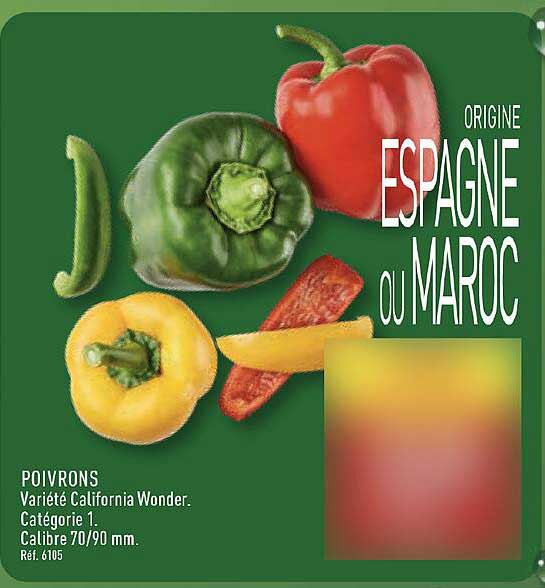 ORIGINE ESPAGNE OU MAROC