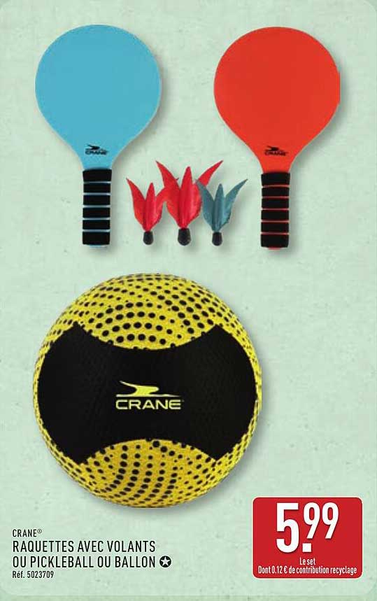 RAQUETTES AVEC VOLANTS OU PICKLEBALL OU BALLON