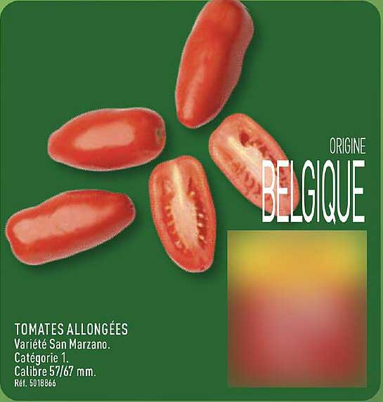TOMATES ALLONGÉES