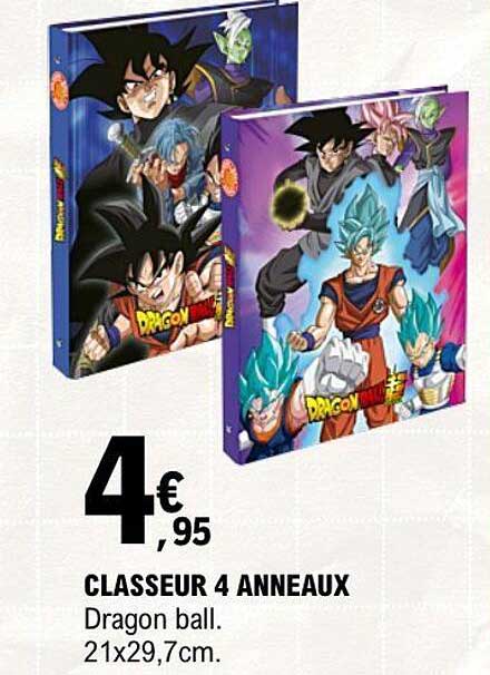 CLASSEUR 4 ANNEAUX