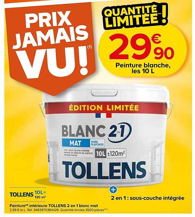 Peinture blanche, les 10 L