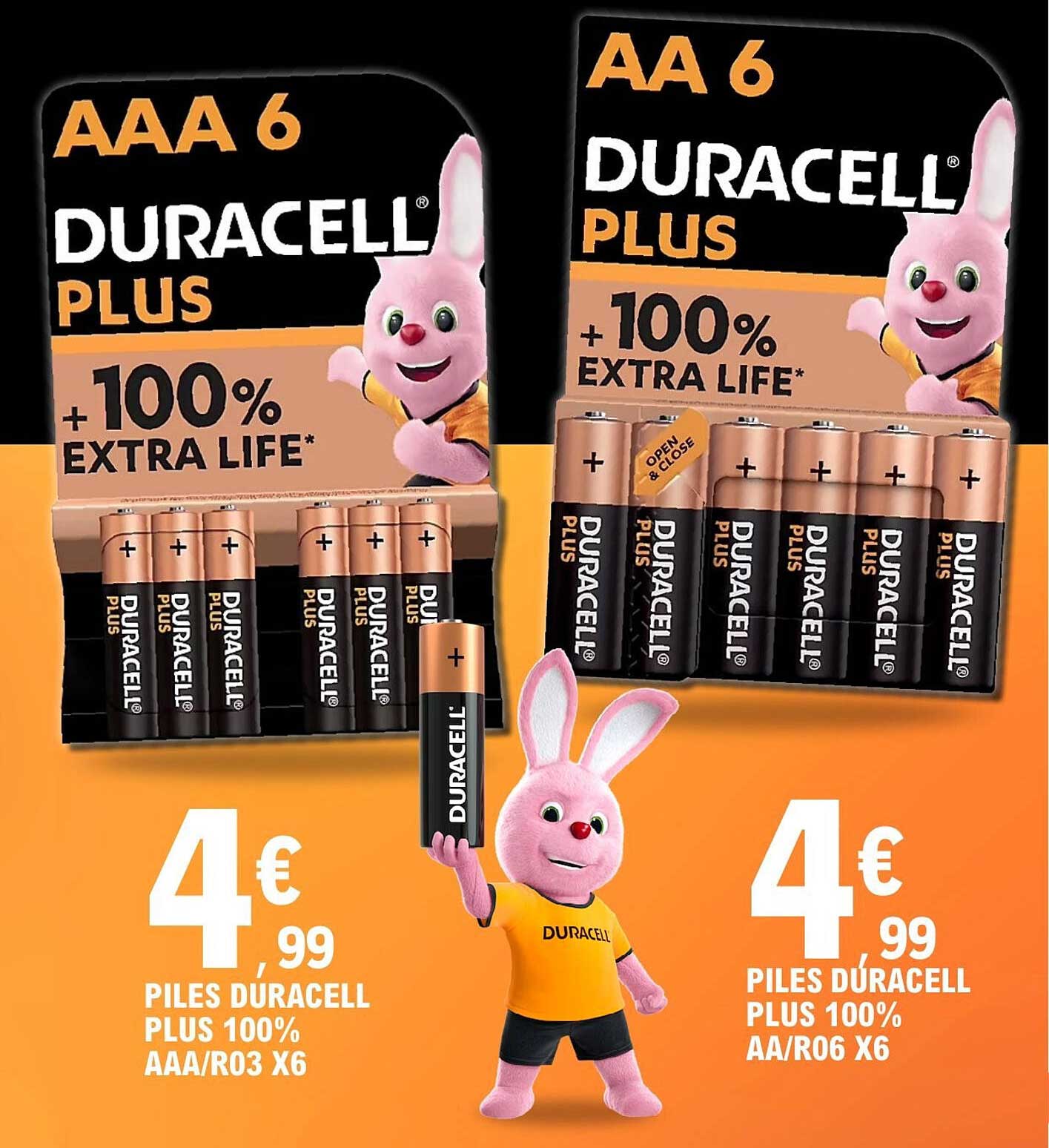Piles Duracell Plus 100% AAA/R03 X6