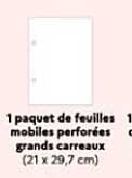 1 paquet de feuilles mobiles perforées grands carreaux (21 x 29,7 cm)
