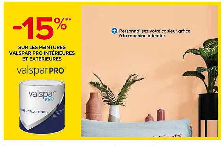 -15%** SUR LES PEINTURES VALSPAR PRO INTÉRIEURES ET EXTÉRIEURES