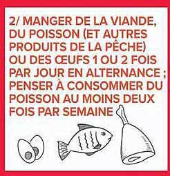 2/ MANGER DE LA VIANDE, DU POISSON (ET AUTRES PRODUITS DE LA PÊCHE) OU DES ŒUFS 1 OU 2 FOIS PAR JOUR EN ALTERNANCE ; PENSER À CONSOMMER DU POISSON AU MOINS DEUX FOIS PAR SEMAINE