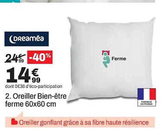 2. Oreiller Bien-être ferme 60x60 cm