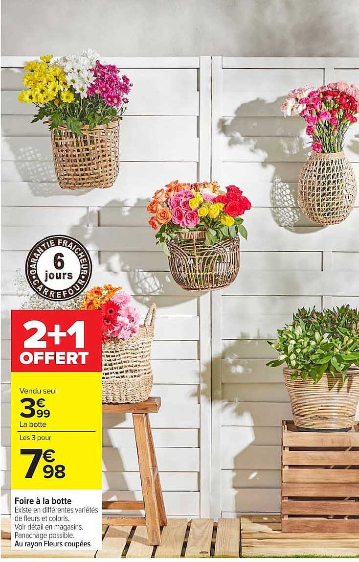 2+1 OFFERT