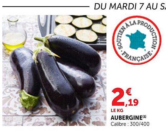 AUBERGINE(1) Calibre : 300/400