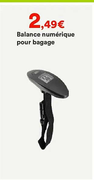 Balance numérique pour bagage