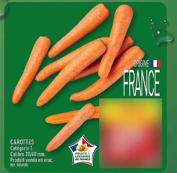 CAROTTES