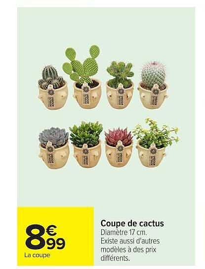 Coupe de cactus