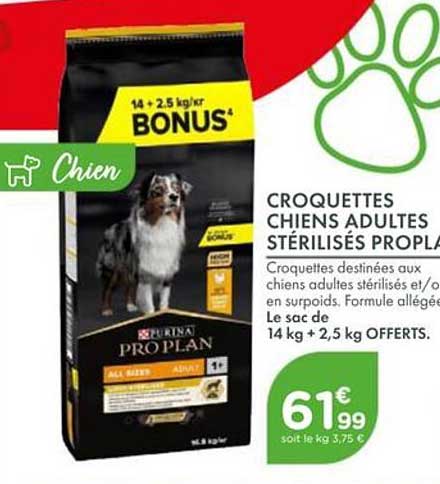 CROQUETTES CHIENS ADULTES STÉRILISÉS