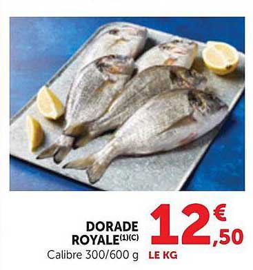 DORADE ROYALE
