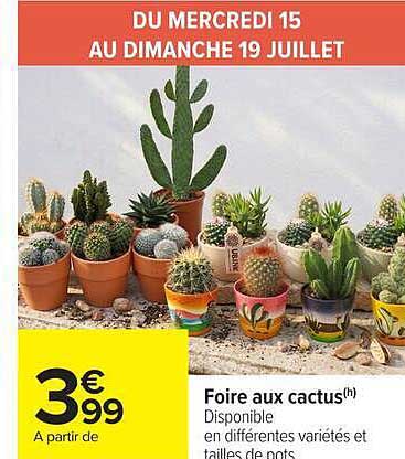 Foire aux cactus(h)
