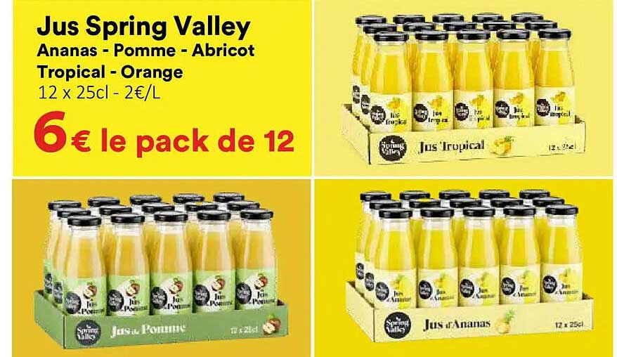 Jus Spring Valley Ananas - Pomme - Abricot Tropical - Orange 12 x 25cl - 2€/L