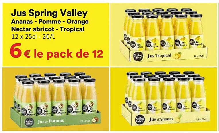 Jus Spring Valley Ananas - Pomme - Orange Nectar abricot - Tropical 12 x 25cl - 2€/L