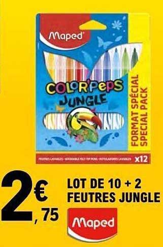 LOT DE 10 + 2 FEUTRES JUNGLE