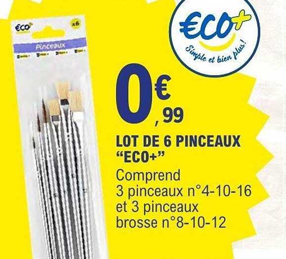 LOT DE 6 PINCEAUX “ECO+”