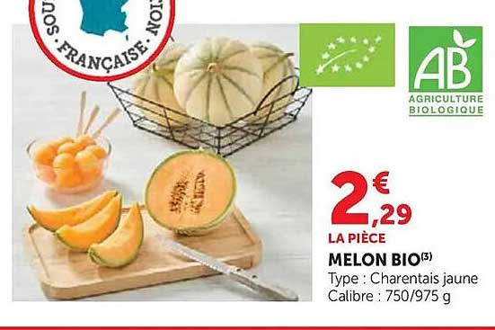 MELON BIO(3)