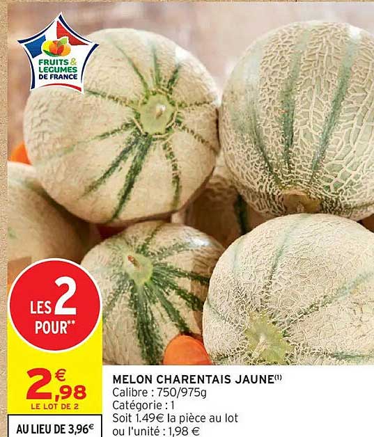 MELON CHARENTAIS JAUNE