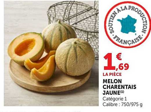 MELON CHARENTAIS JAUNE