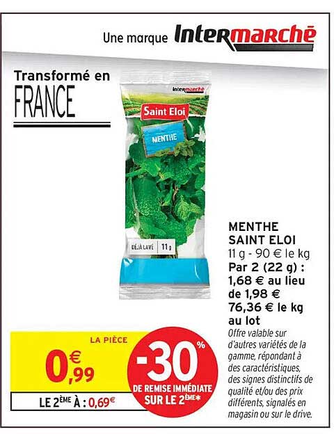 MENTHE SAINT ELOI