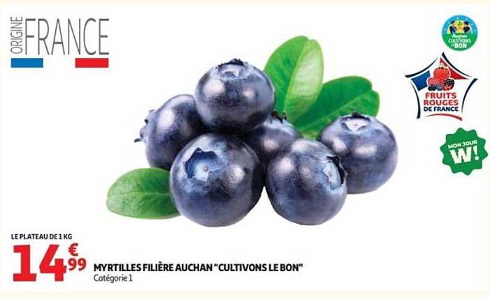 MYRTILLES FILIERE AUCHAN "CULTIVONS LE BON"